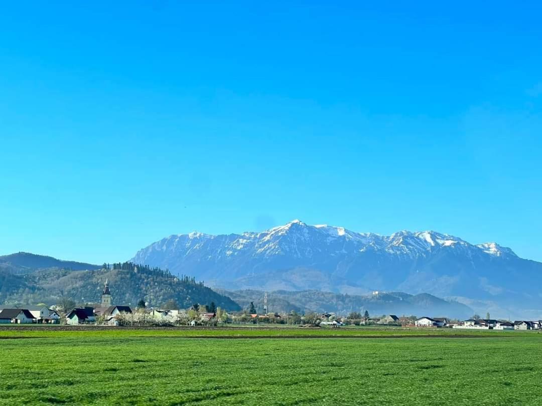 Neustadt Villa Cristian  Εξωτερικό φωτογραφία